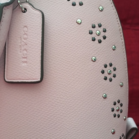 Coach - Picture 5 of 8